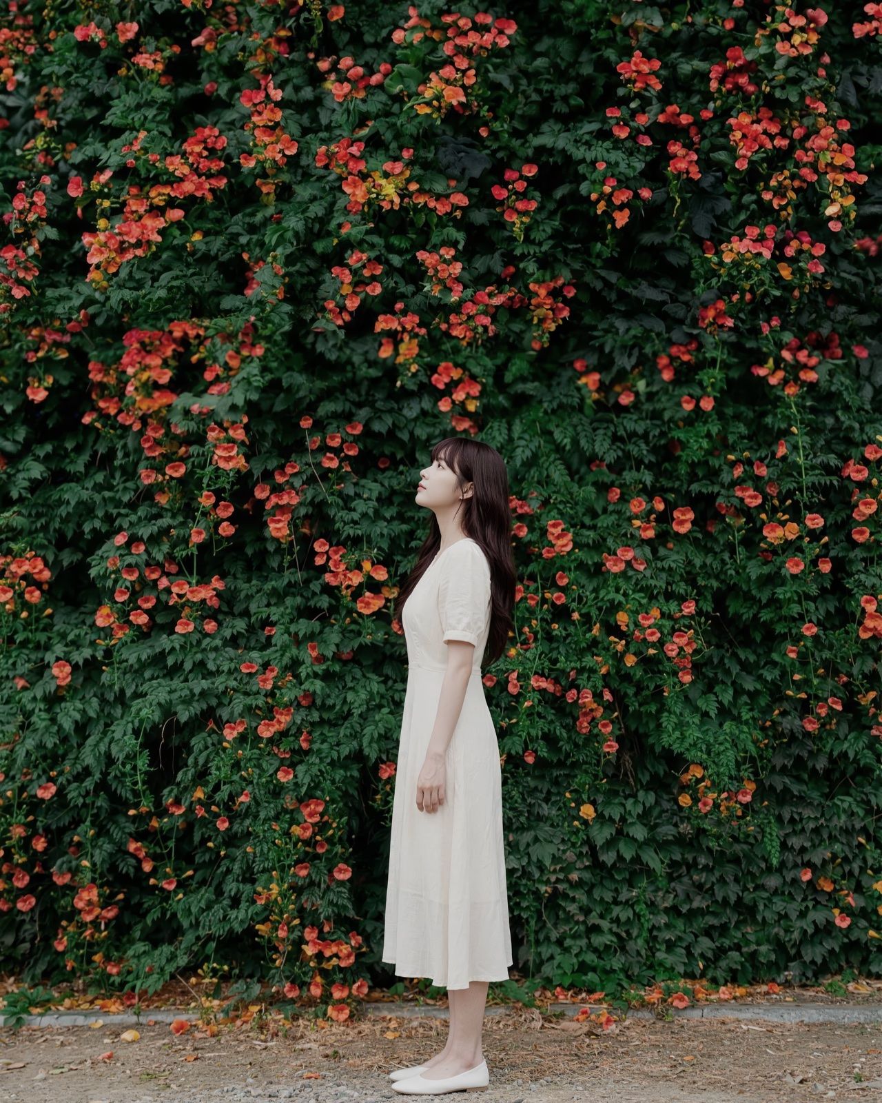 Editorial still 1